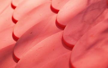 Fionnsabhagh plastic roof costs